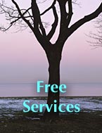 Services